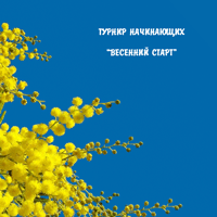 20 марта. Турнир начинающих